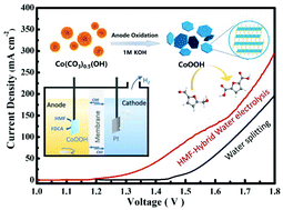 Graphical abstract: Electrochemical biomass upgrading on CoOOH nanosheets in a hybrid water electrolyzer