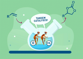 Graphical abstract: Tandem catalysis: one-pot synthesis of cyclic organic carbonates from olefins and carbon dioxide
