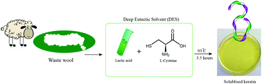 Graphical abstract: A sustainable solvent based on lactic acid and l-cysteine for the regeneration of keratin from waste wool