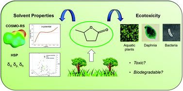 Graphical abstract: The green platform molecule gamma-valerolactone – ecotoxicity, biodegradability, solvent properties, and potential applications