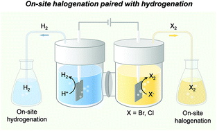 Graphical abstract: Flexible on-site halogenation paired with hydrogenation using halide electrolysis