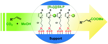 Graphical abstract: Ruthenium complex immobilized on supported ionic-liquid-phase (SILP) for alkoxycarbonylation of olefins with CO2