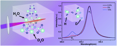 Graphical abstract: Calibration-free quantitative analysis of D/H isotopes with a fs-laser filament