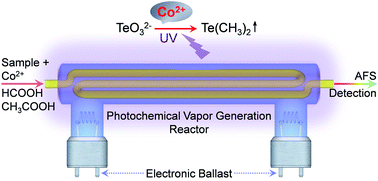 Graphical abstract: Cobalt ion-enhanced photochemical vapor generation in a mixed acid medium for sensitive detection of tellurium(iv) by atomic fluorescence spectrometry
