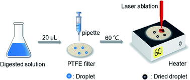 Graphical abstract: Quantitative trace elemental analysis by laser-induced breakdown spectroscopy with dried droplet pretreatment