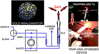 Graphical abstract: Selenium preconcentration in a gold “amalgamator” after hydride generation for atomic spectrometry