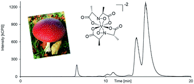 Graphical abstract: Determination of the naturally occurring vanadium-complex amavadin in Amanita muscaria with HPLC-ICPMS