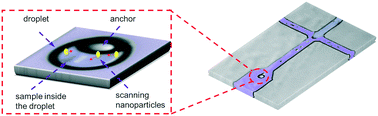 Graphical abstract: Microfluidic-based linear-optics label-free imager