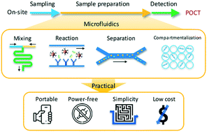 Graphical abstract: Towards practical sample preparation in point-of-care testing: user-friendly microfluidic devices
