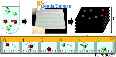 Graphical abstract: Multiplexed homogeneous digital immunoassay based on single-particle motion analysis
