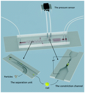 Graphical abstract: Cell elasticity measurement using a microfluidic device with real-time pressure feedback