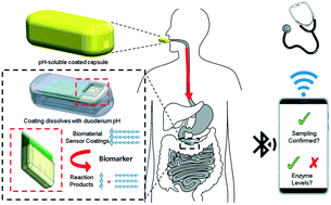 Graphical abstract: Capacitive sensing of triglyceride film reactions: a proof-of-concept demonstration for sensing in simulated duodenal contents with gastrointestinal targeting capsule system