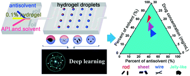 Graphical abstract: A high-throughput system combining microfluidic hydrogel droplets with deep learning for screening the antisolvent-crystallization conditions of active pharmaceutical ingredients