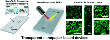 Graphical abstract: NanoPADs and nanoFACEs: an optically transparent nanopaper-based device for biomedical applications