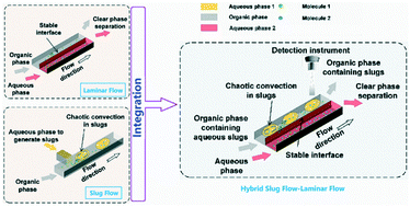Graphical abstract: Liquid–liquid–liquid three-phase microsystem: hybrid slug flow–laminar flow