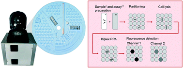 Graphical abstract: Point-of-care testing system for digital single cell detection of MRSA directly from nasal swabs