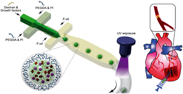 Graphical abstract: Functional reservoir microcapsules generated via microfluidic fabrication for long-term cardiovascular therapeutics