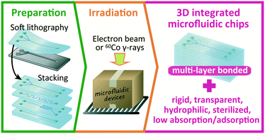 Graphical abstract: A simple method for production of hydrophilic, rigid, and sterilized multi-layer 3D integrated polydimethylsiloxane microfluidic chips