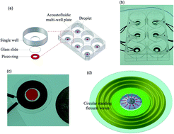 Graphical abstract: Acoustofluidic multi-well plates for enrichment of micro/nano particles and cells