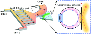 Graphical abstract: Optofluidic gradient refractive index resonators using liquid diffusion for tunable unidirectional emission