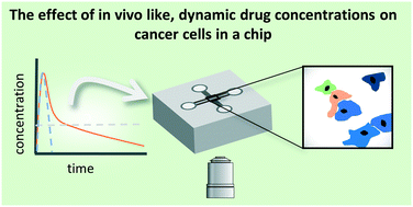 Graphical abstract: Controlled pharmacokinetic anti-cancer drug concentration profiles lead to growth inhibition of colorectal cancer cells in a microfluidic device