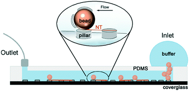 Graphical abstract: Microfluidic chip with pillar arrays for controlled production and observation of lipid membrane nanotubes