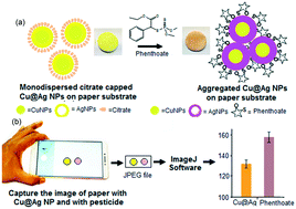 Graphical abstract: Food safety monitoring of the pesticide phenthoate using a smartphone-assisted paper-based sensor with bimetallic Cu@Ag core–shell nanoparticles