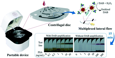 Graphical abstract: An enhanced centrifugation-assisted lateral flow immunoassay for the point-of-care detection of protein biomarkers