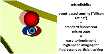 Graphical abstract: High-speed particle detection and tracking in microfluidic devices using event-based sensing