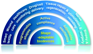 Graphical abstract: Shape-adaptable biodevices for wearable and implantable applications