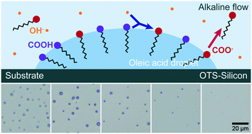 Graphical abstract: Speeding up biphasic reactions with surface nanodroplets