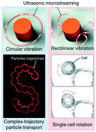 Graphical abstract: Ultrasonic microstreaming for complex-trajectory transport and rotation of single particles and cells