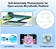 Graphical abstract: Self-detachable UV-curable polymers for open-access microfluidic platforms