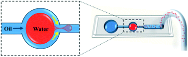 Graphical abstract: Spontaneous droplet generation via surface wetting