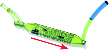 Graphical abstract: Pore-scale multiple-contact miscibility measurements in a microfluidic chip