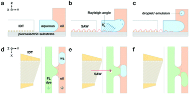 Graphical abstract: Selective cell encapsulation, lysis, pico-injection and size-controlled droplet generation using traveling surface acoustic waves in a microfluidic device