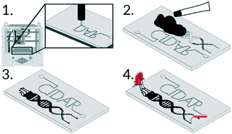 Graphical abstract: Rapid and inexpensive microfluidic electrode integration with conductive ink