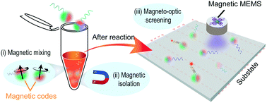 Graphical abstract: Coding and decoding stray magnetic fields for multiplexing kinetic bioassay platform