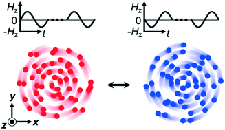 Graphical abstract: Programmable chiral states in flocks of active magnetic rollers