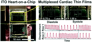 Graphical abstract: Contact photolithography-free integration of patterned and semi-transparent indium tin oxide stimulation electrodes into polydimethylsiloxane-based heart-on-a-chip devices for streamlining physiological recordings