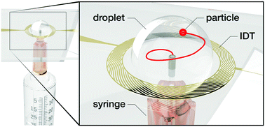 Graphical abstract: Microliter ultrafast centrifuge platform for size-based particle and cell separation and extraction using novel omnidirectional spiral surface acoustic waves