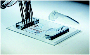 Graphical abstract: Paper-thin multilayer microfluidic devices with integrated valves