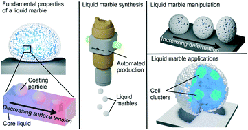 Graphical abstract: Liquid marble-based digital microfluidics – fundamentals and applications