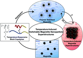 Graphical abstract: Temperature-induced switchable magnetite nanoparticle superstructures