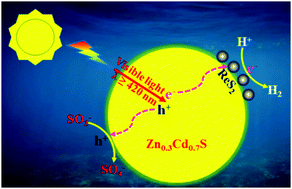 Graphical abstract: High-efficiency and stable photocatalytic hydrogen evolution of rhenium sulfide co-catalyst on Zn0.3Cd0.7S