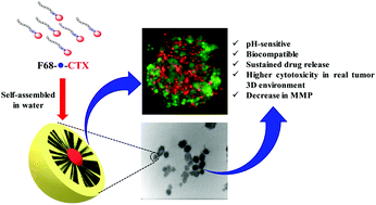 Graphical abstract: A nanoscale, biocompatible and amphiphilic prodrug of cabazitaxel with improved anticancer efficacy against 3D spheroids of prostate cancer cells