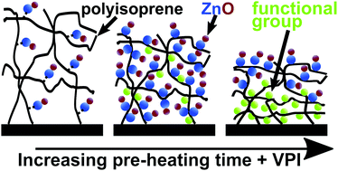 Graphical abstract: Vapor phase infiltration of zinc oxide into thin films of cis-polyisoprene rubber