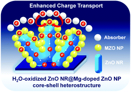 Graphical abstract: Hierarchical core–shell heterostructure of H2O-oxidized ZnO nanorod@Mg-doped ZnO nanoparticle for solar cell applications