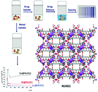 Graphical abstract: A biocompatible ZnNa2-based metal–organic framework with high ibuprofen, nitric oxide and metal uptake capacity