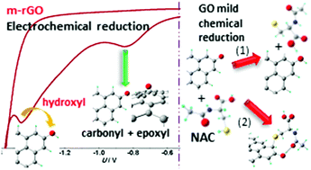 Graphical abstract: A comparative experimental and theoretical study of the mechanism of graphene oxide mild reduction by ascorbic acid and N-acetyl cysteine for biomedical applications